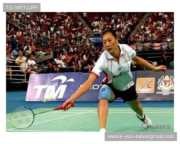 世界羽毛球巡回赛：张宁带领中国选手勇夺五枚金牌