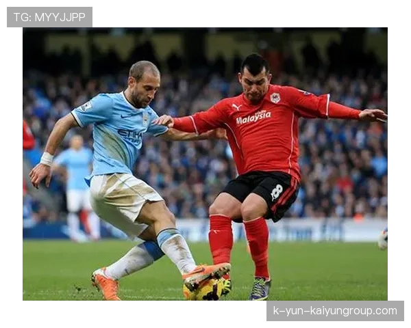 南非投球火力强劲，成功限制对手得分，南非球赛