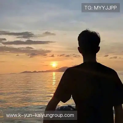 计辛畅